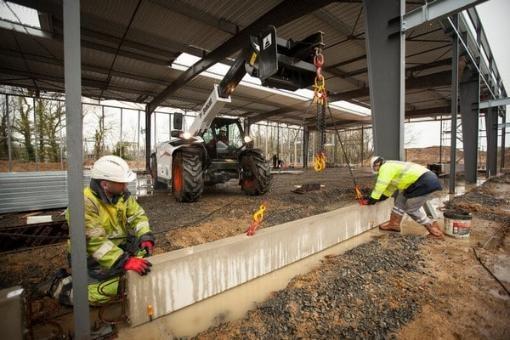 Крановый гусек